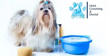 Hixa Grooming ofrece paquetes para el cuidado de su mascota, atendemos perros y gatos también tenemos servicios adiciona...